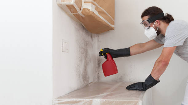 Professional Basement Mold Removal technician working in Oyster Bay, NY